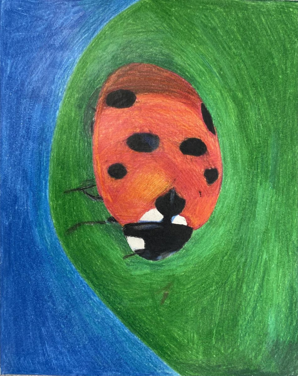 "Ladybug" by Isabelle Iacanci