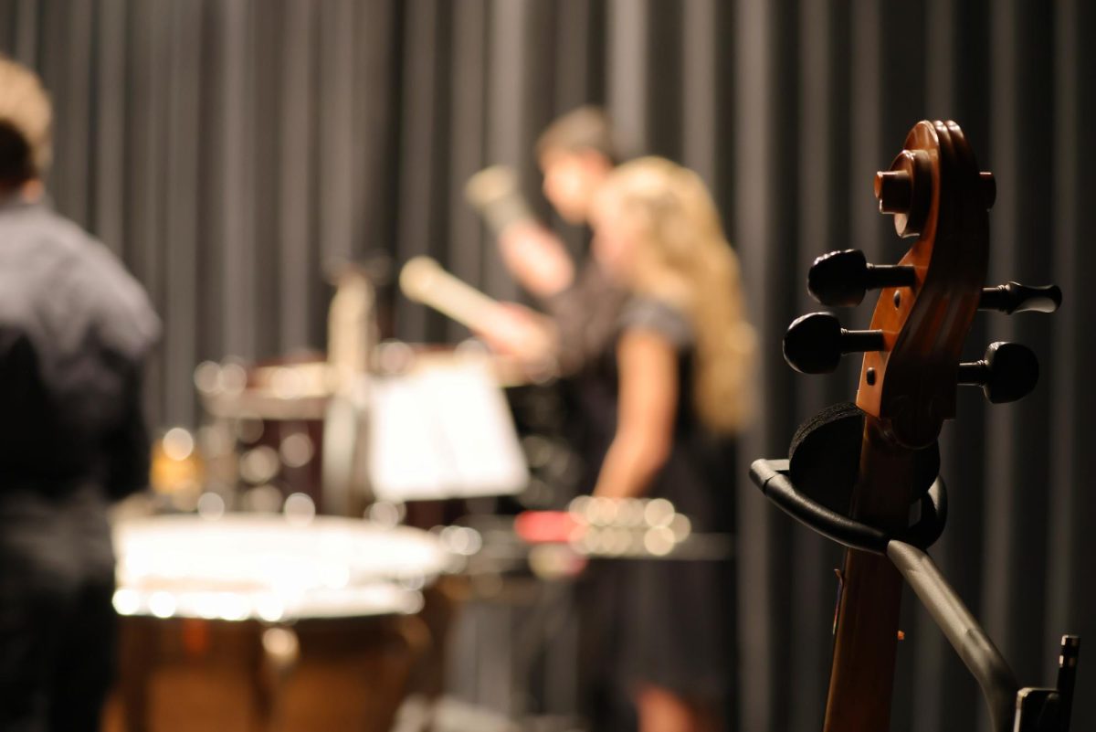 View of the concert from backstage with the cello.