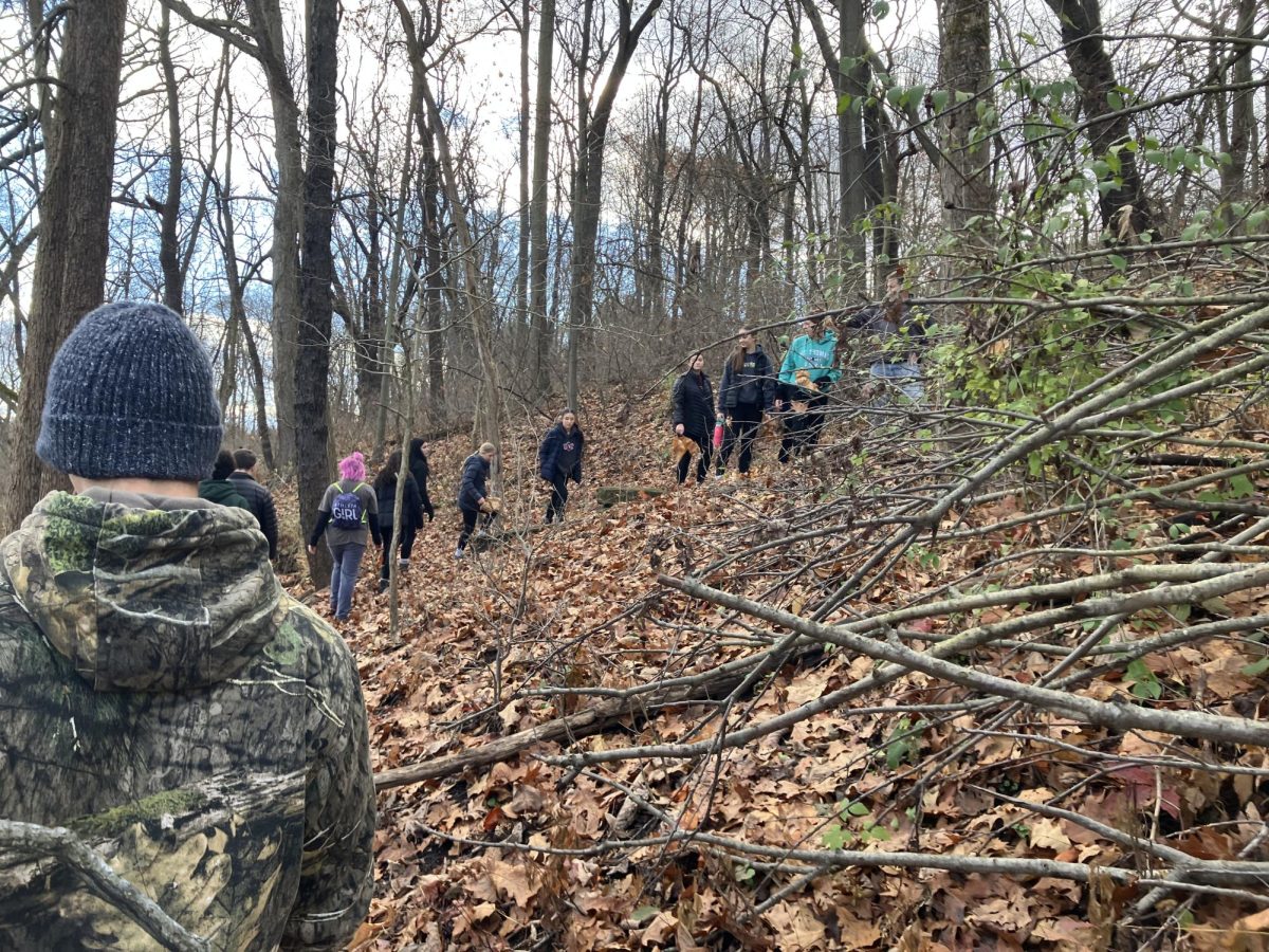 Students carry their sycamore leaves back to the Land Lab classroom.