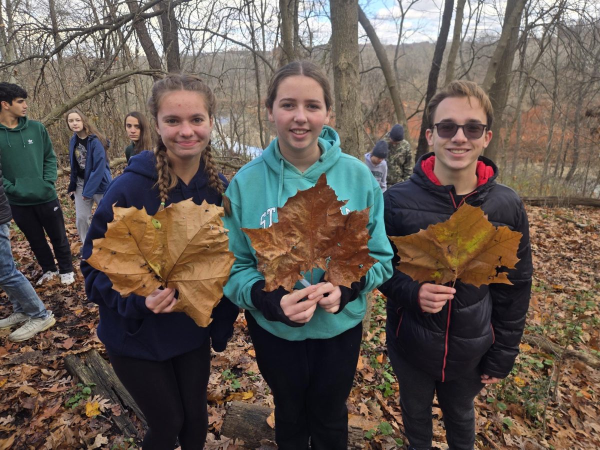 Alyssa Hujarski, Emma Bohrer and Matthew Liepert holding up the biggest sycamore leaves they could find.
