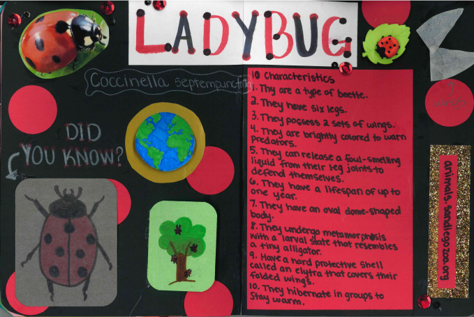 "Ladybug" by Peyton Bechlem.