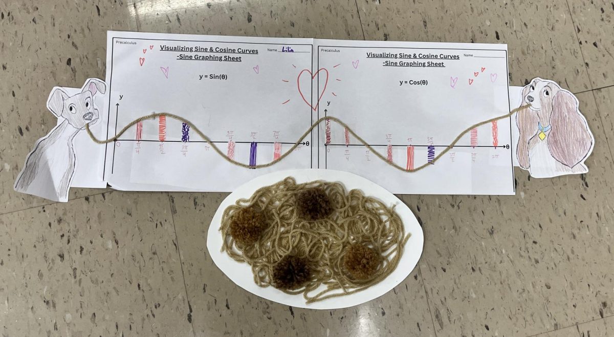 "Lady and the Tramp" Sine and Cosine Project by Lilia Pawuk