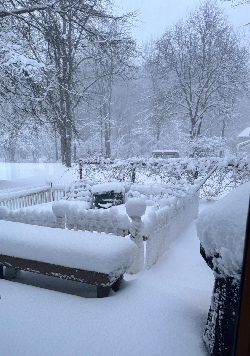 Snow accumulations early on the morning of January 15, 2026 in Geauga County.