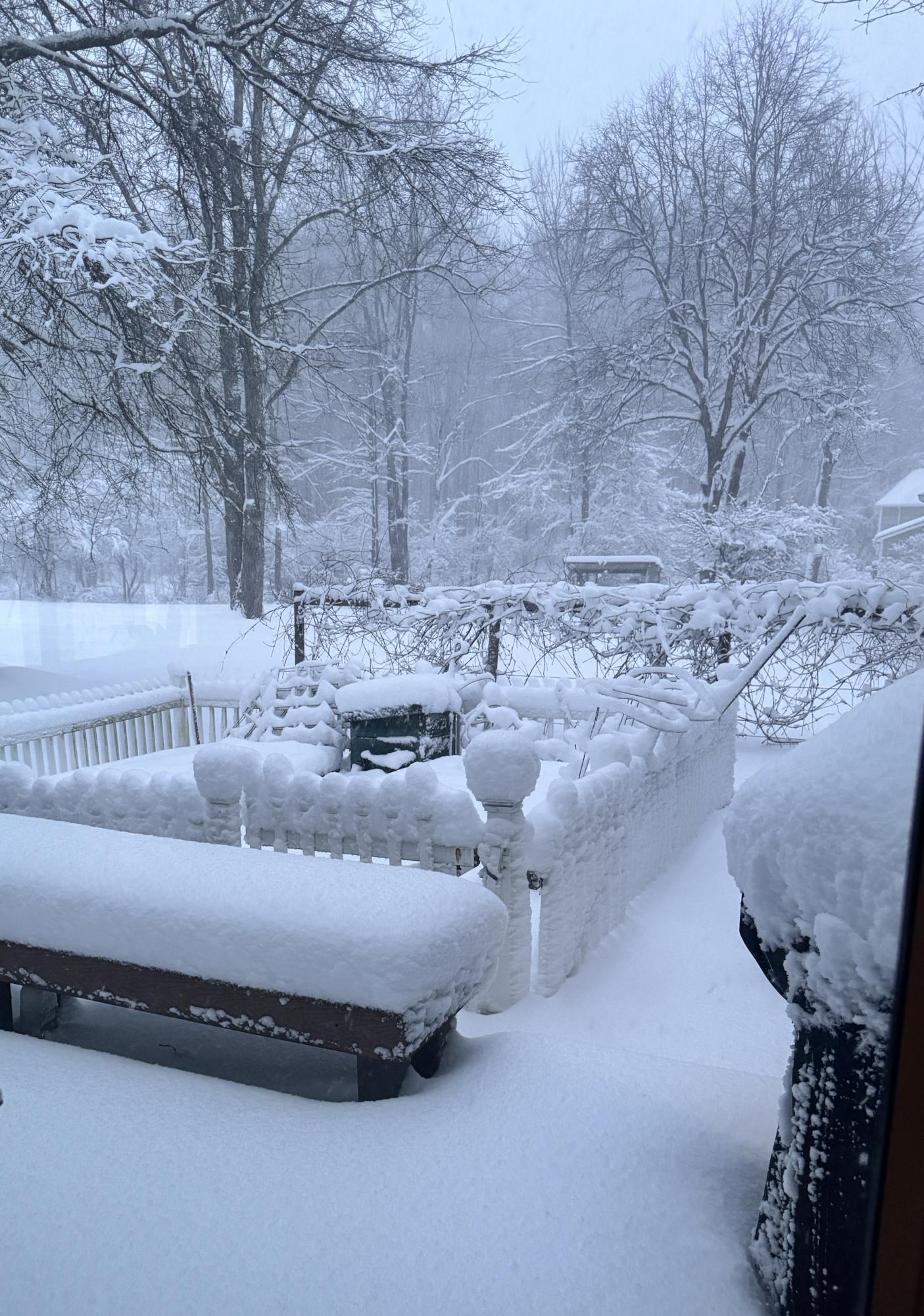 Snow accumulations early on the morning of January 15, 2026 in Geauga County.