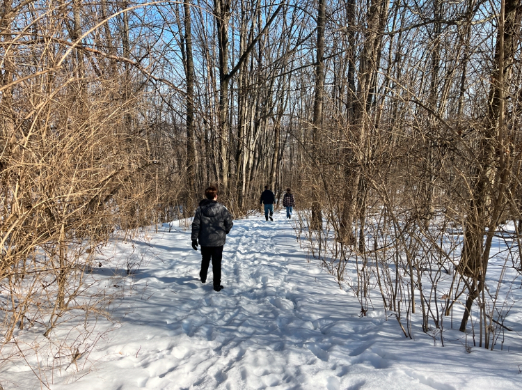 Bio Society members follow a path through the Land Lab trails.