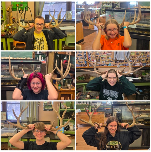 Bio society members hold deer antlers to their heads.