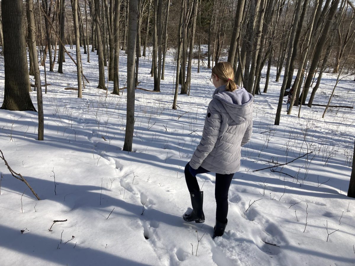 Junior Rylee Shepard follows tracks left by deer.