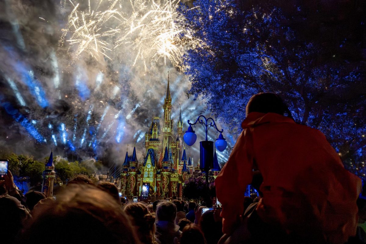 A beautiful moment of the Disney fireworks and crowd is pictured at night.