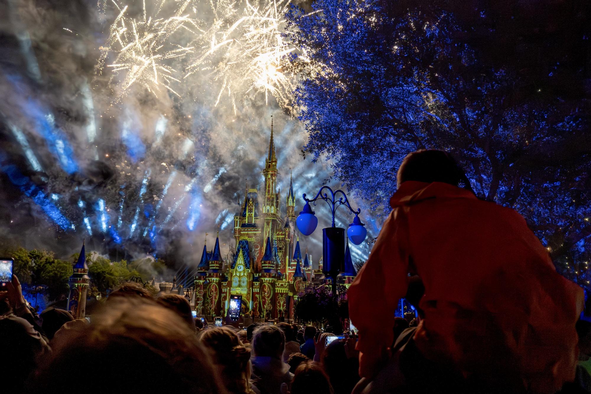 A beautiful moment of the Disney fireworks and crowd is pictured at night.