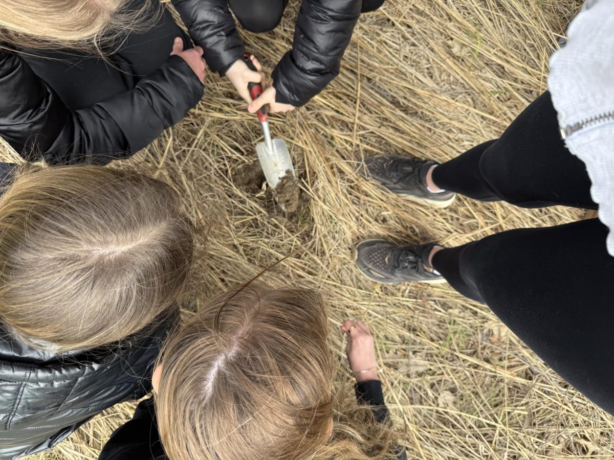 Students digging to take soil samples